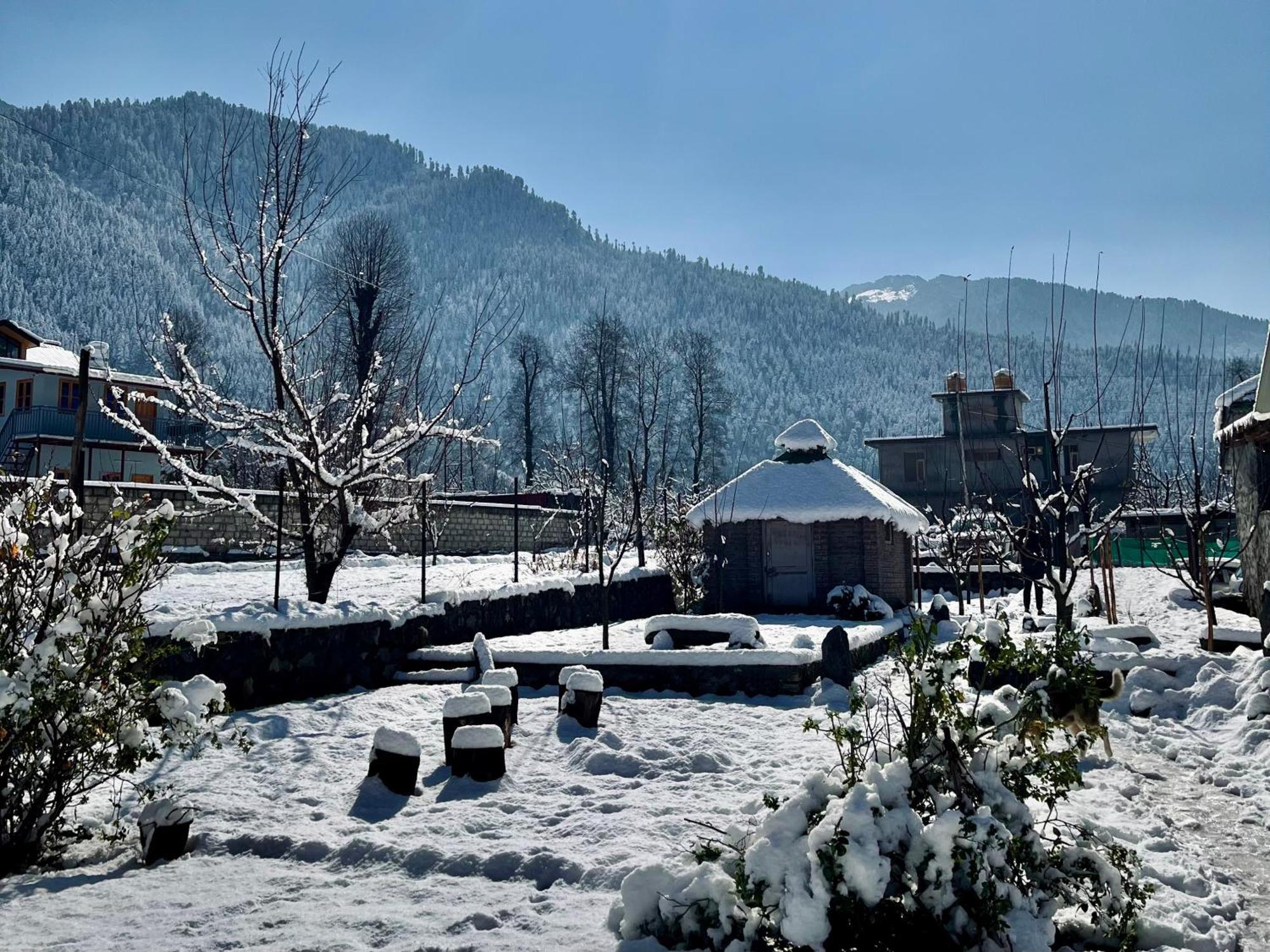 Fluestern Hostel And Cafe Nagar  Exterior photo